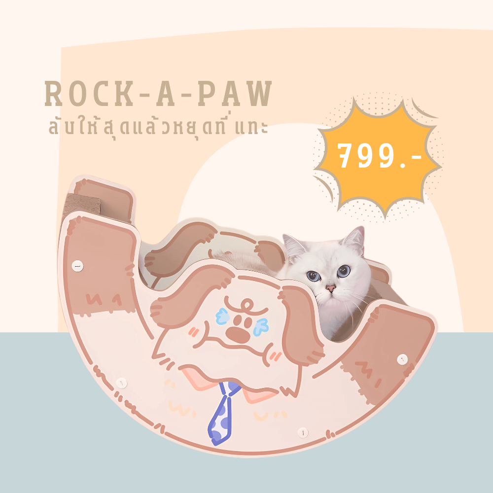 ที่ลับเล็บแมว PETELLE รุ่น PAW PAD (ROCK-A-PAW)_1